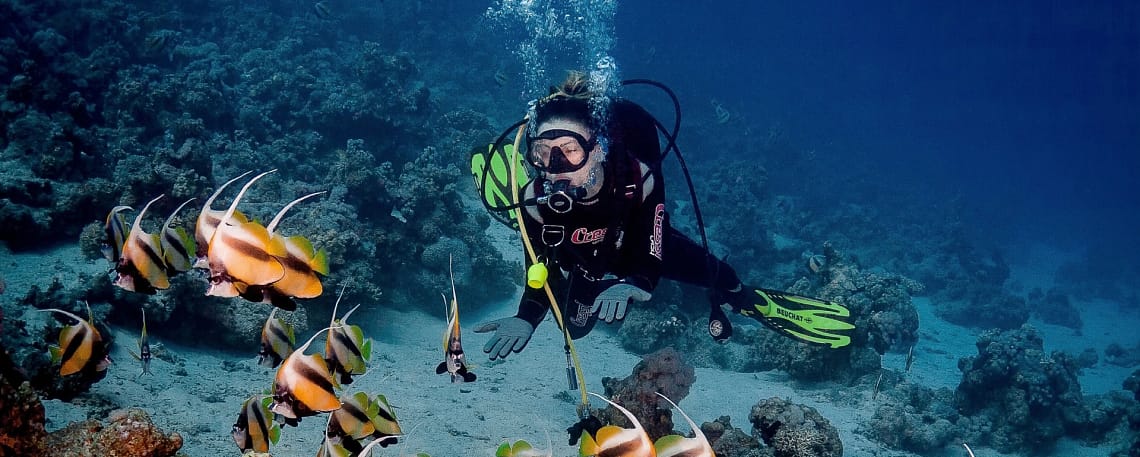 A scuba diver exploring v15 Days Honeymoon Egypt - Romantic Red Sea Diving Experienceibrant coral reefs and marine life in the clear waters of Hurghada, Red Sea Scuba Diving Trip from Hurghada