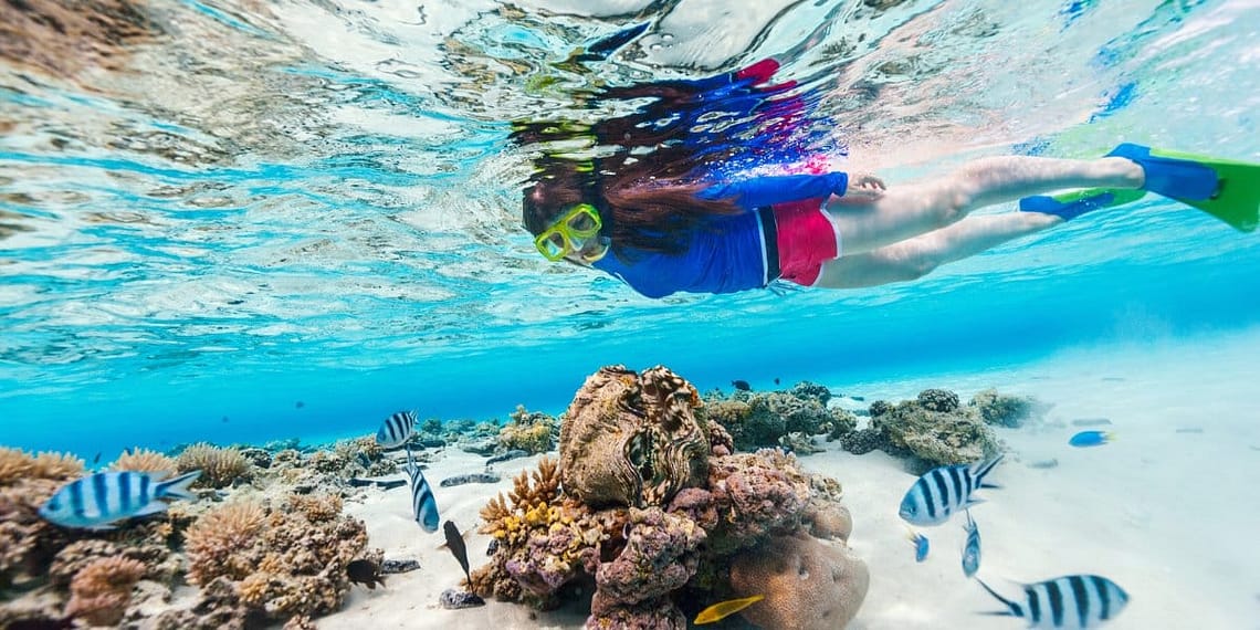 A person snorkeling at the surface of the clear blue Red Sea over vibrant coral formations.