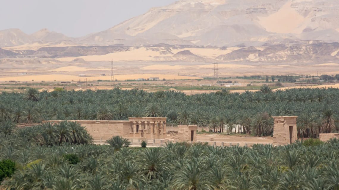 Egypt Oasis