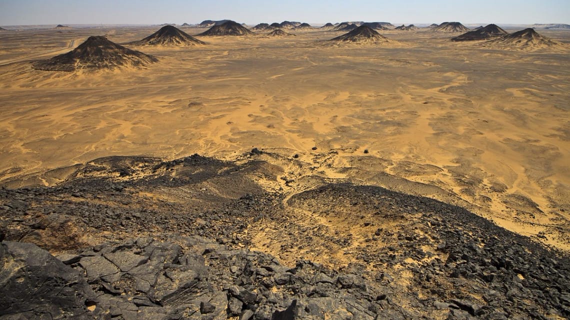 Black Desert