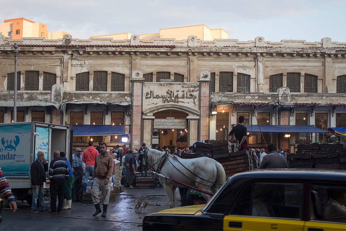Alexandria Fish Market: A Culinary Voyage on the Mediterranean