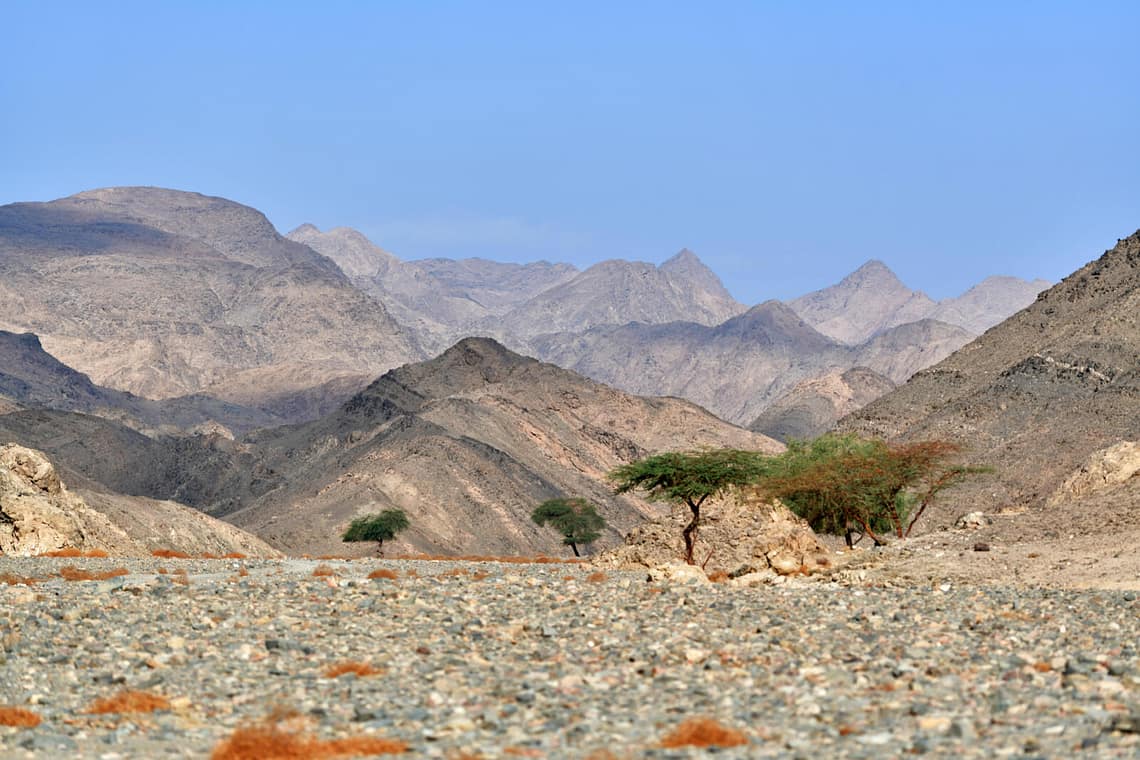 Wadi El Gemal National Park