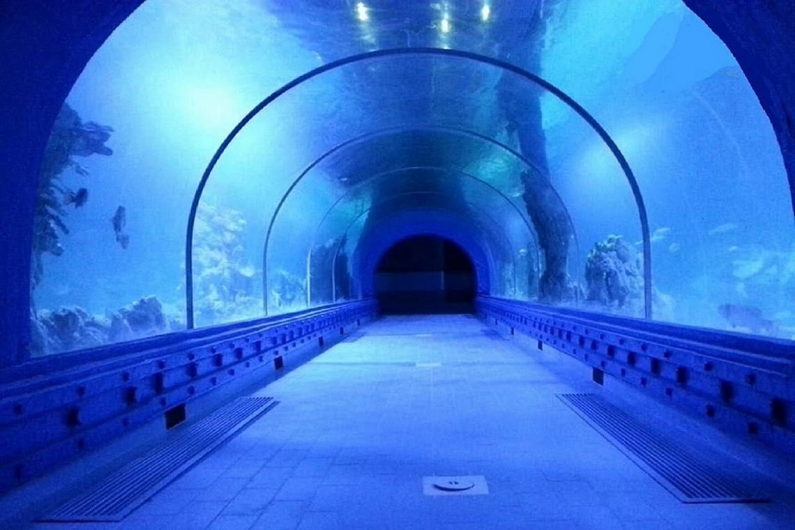 Hurghada Grand Aquarium: The Red Sea in Glass