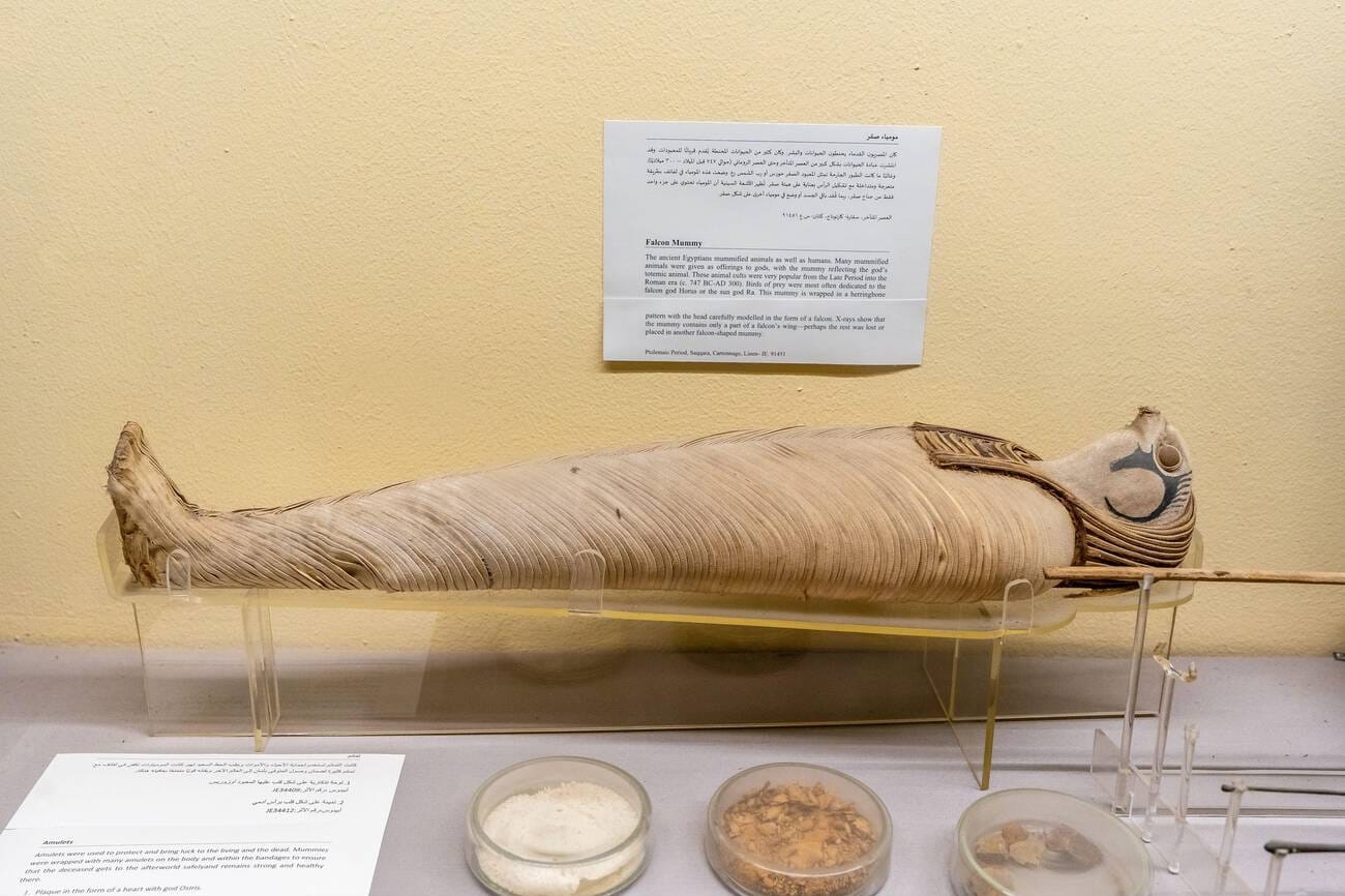 Mummification Museum