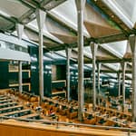 alexandria library in egypt