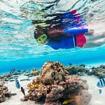 A person snorkeling at the surface of the clear blue Red Sea over vibrant coral formations.