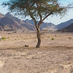 Desert safari in Safaga Top Class Egypt Travel