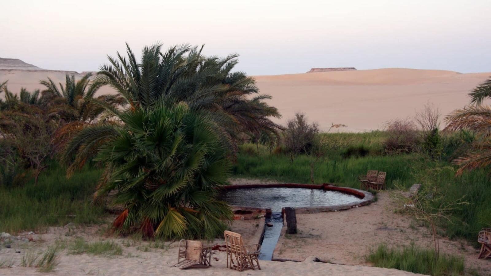 Bahariya Oasis