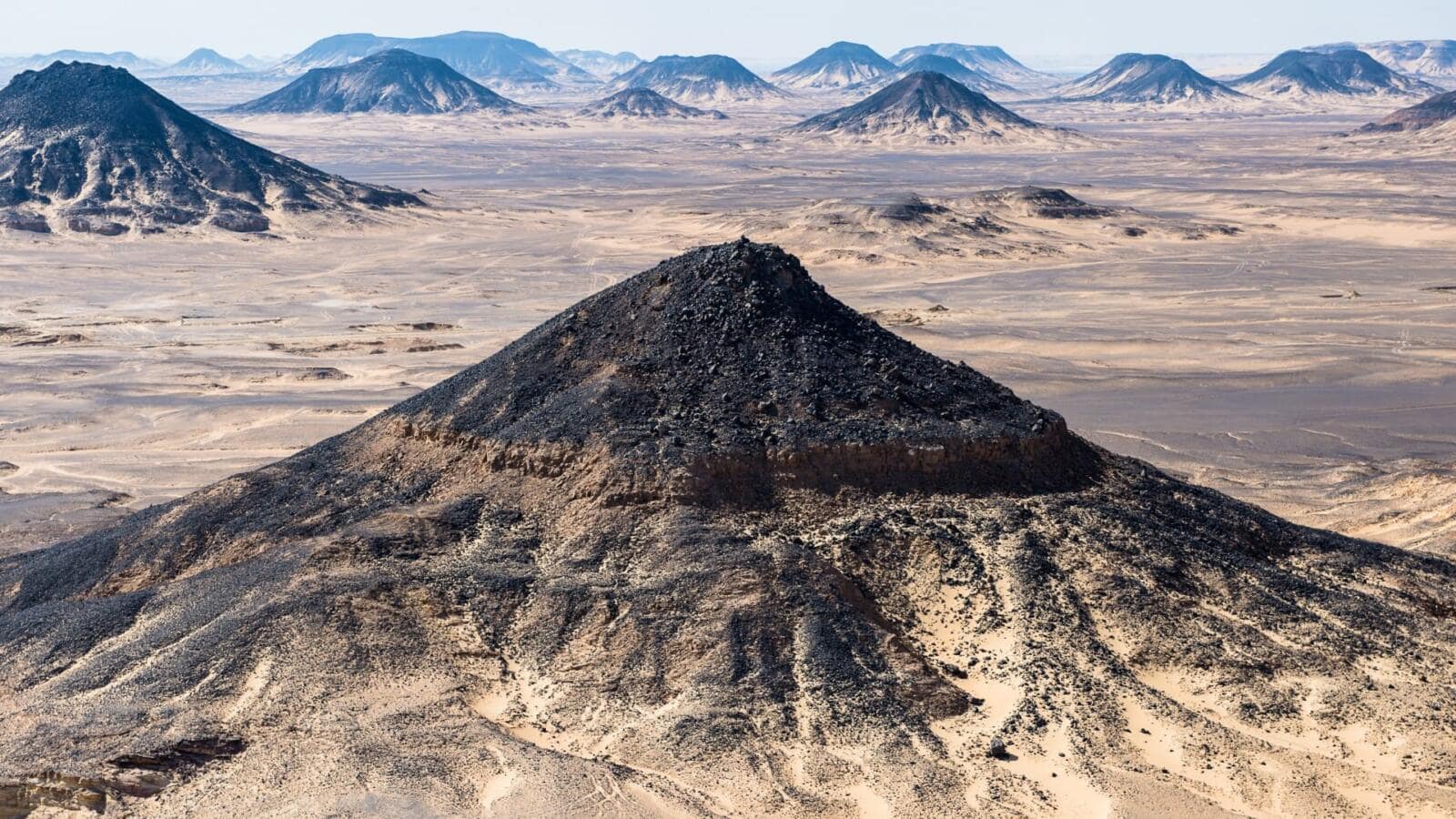 Black Desert