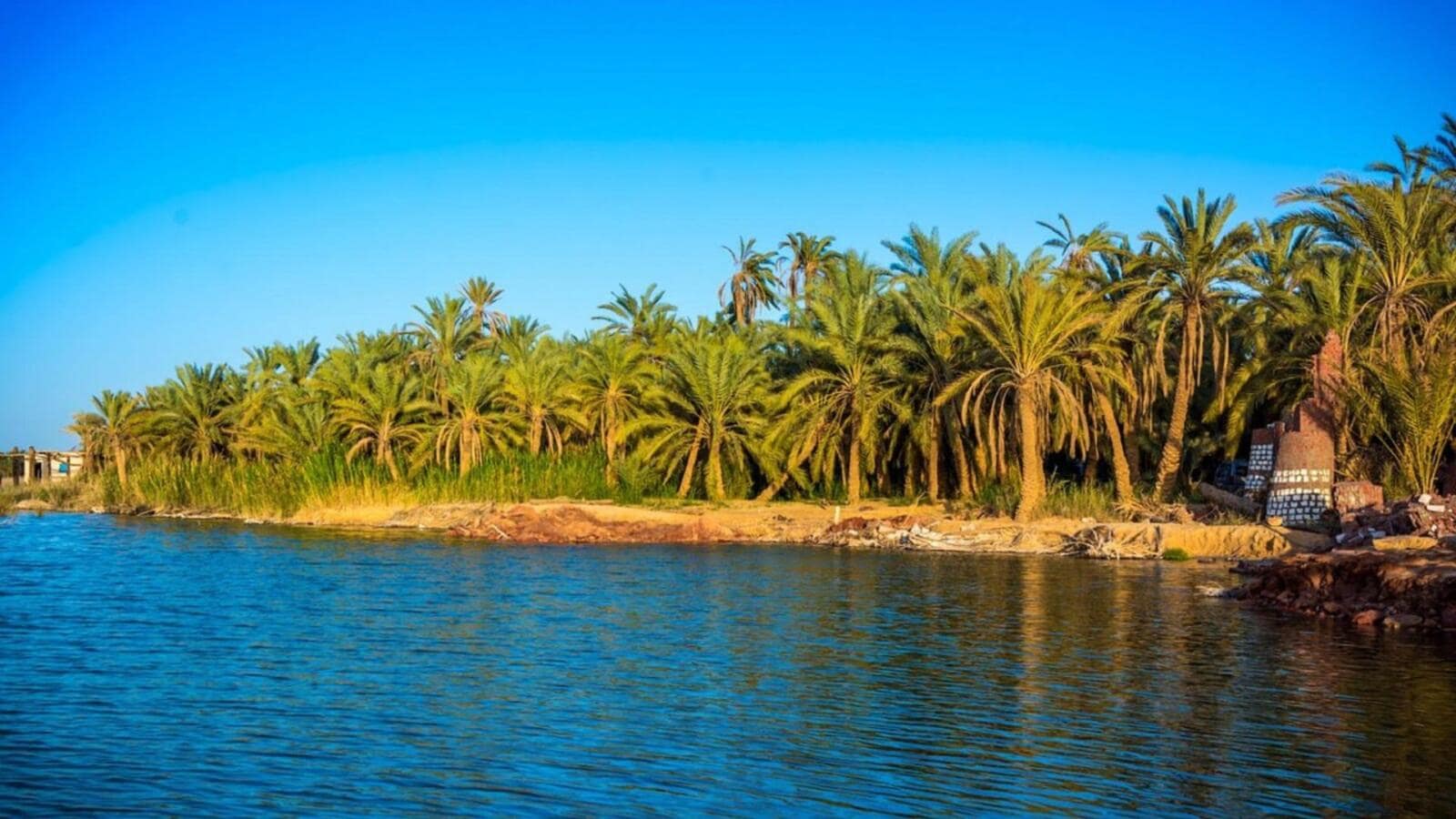 Egypt Oasis
