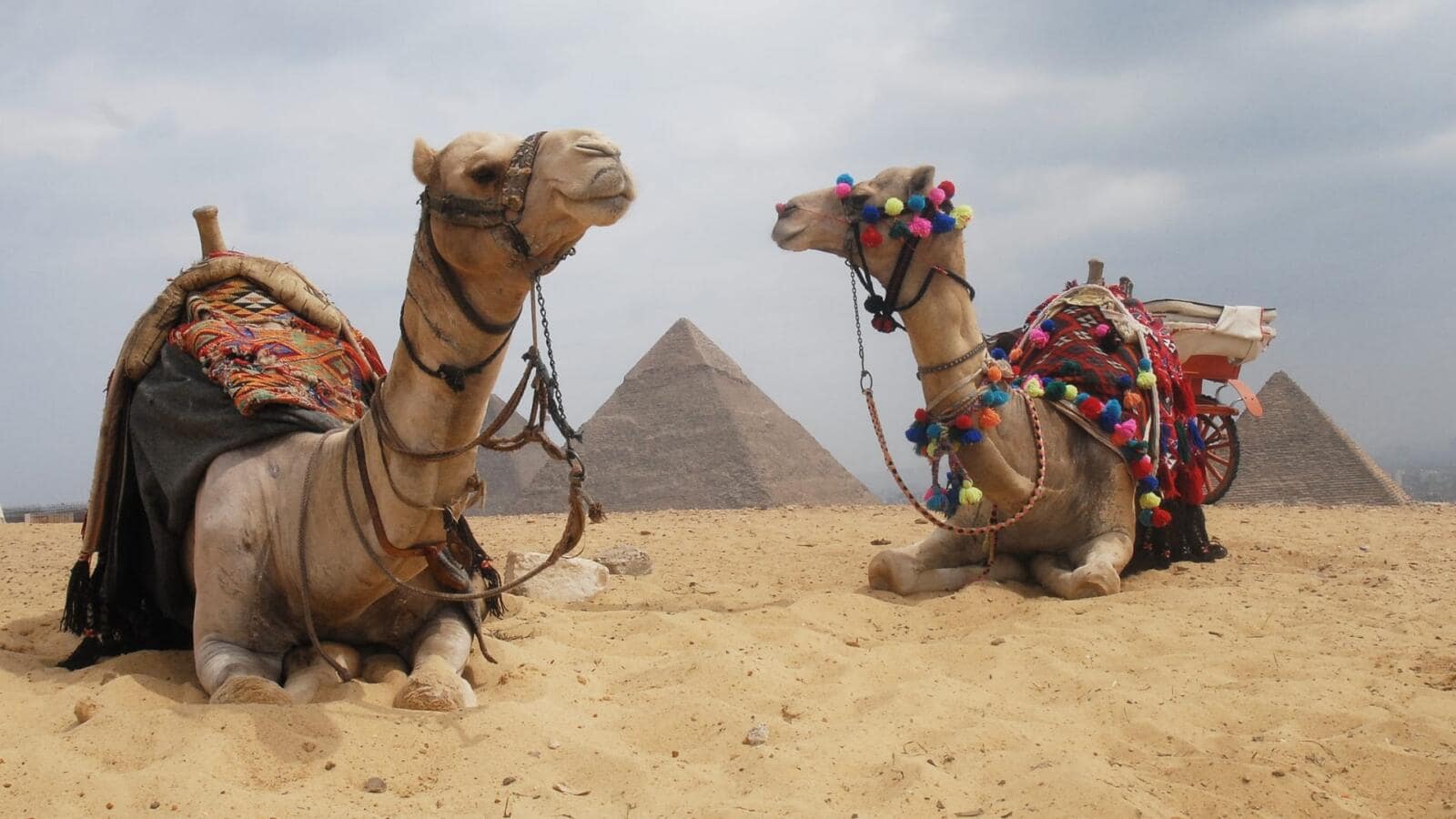 cairo alexandria fayoum tour
