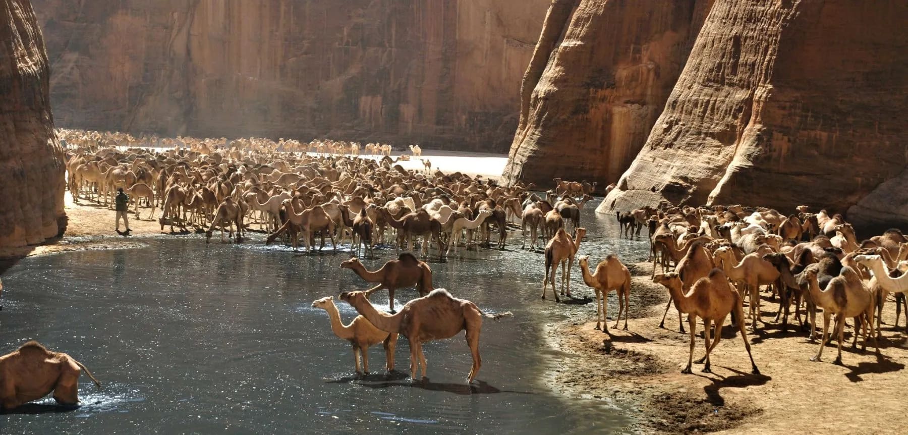Wadi El Gemal National Park