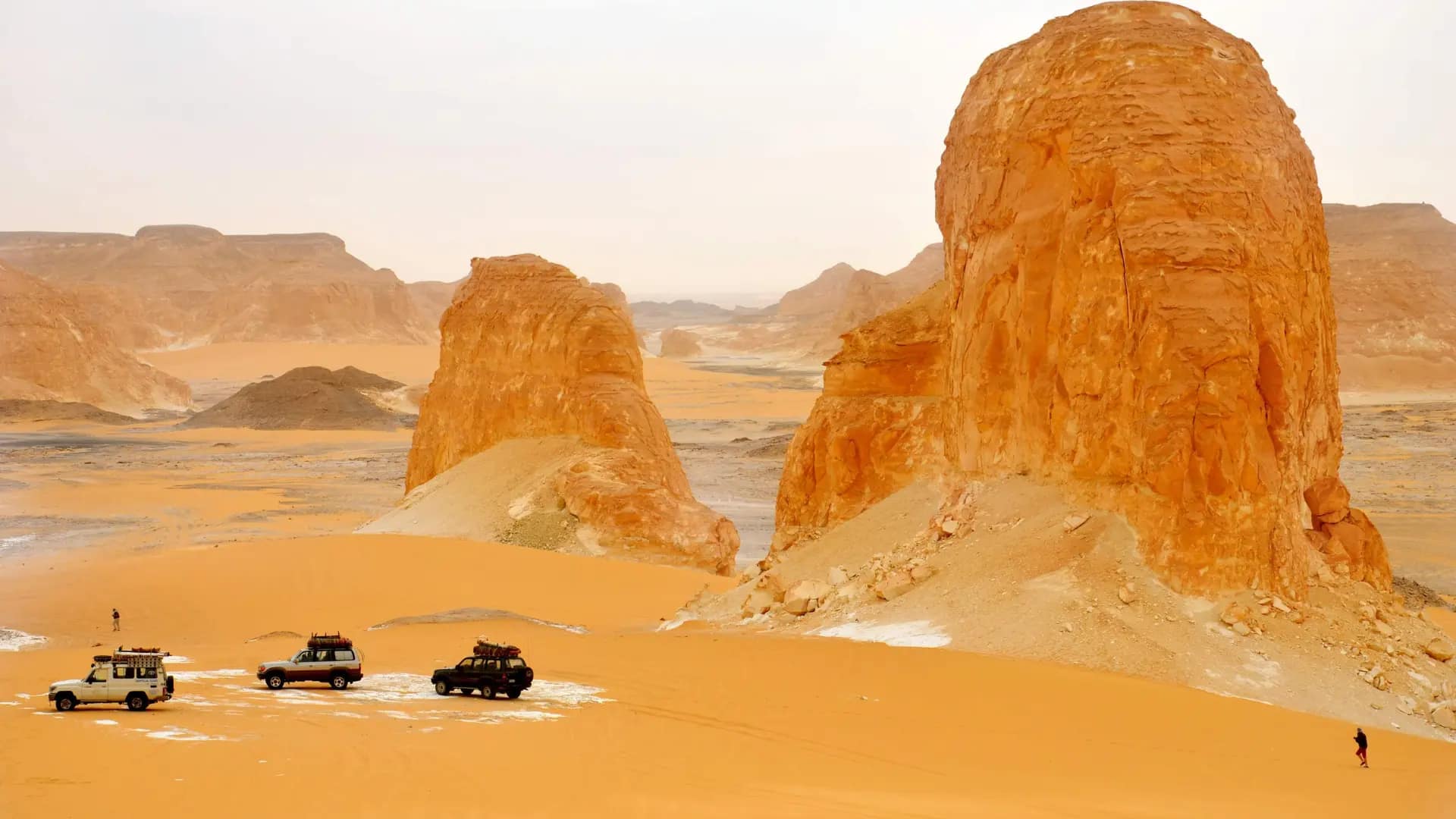Farafra Oasis