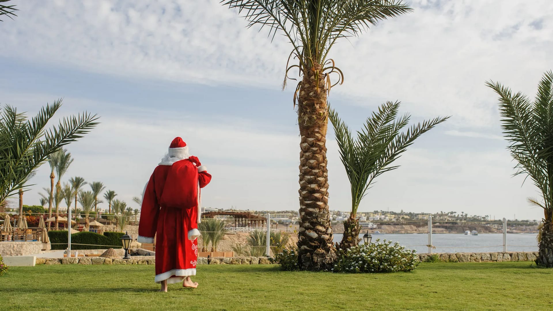 sharm new year