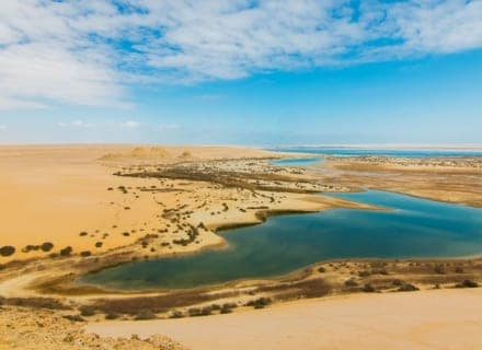 Egypt Oasis