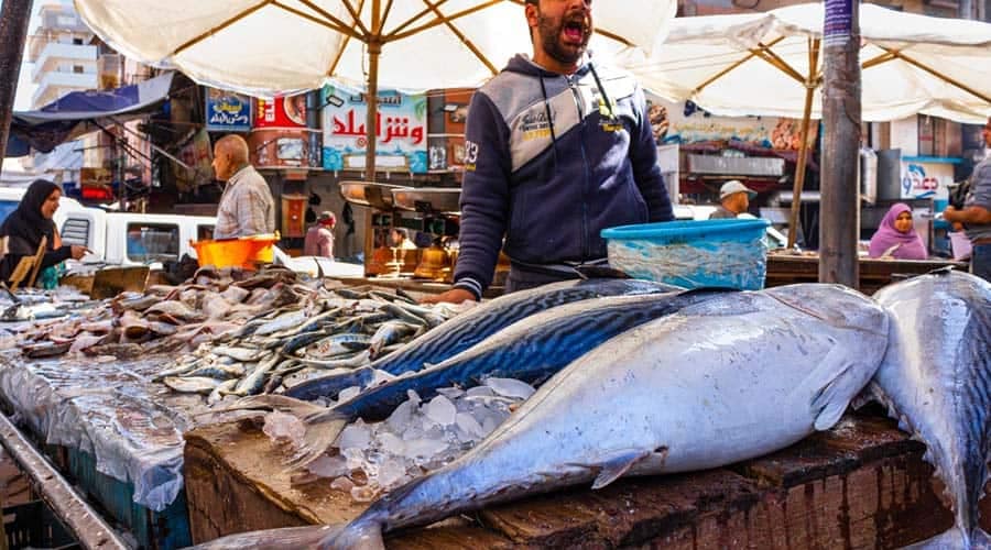 Alexandria Fish Market: A Culinary Voyage on the Mediterranean